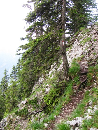 Einen Schritt daneben und es geht bergab