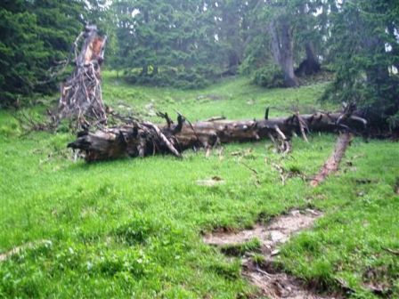 Noch ein kleines Zusatzhindernis ist zu überwinden