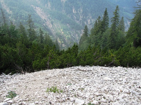 Es geht steil bergab - nur keinen Fehltritt machen