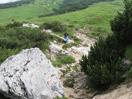 Das Wegstück zur Hochalm ist nicht so rutschig wie andere Teilstücke