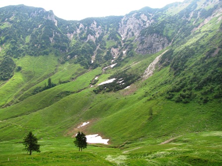 Blick vom Feldalmsattel ins Tal