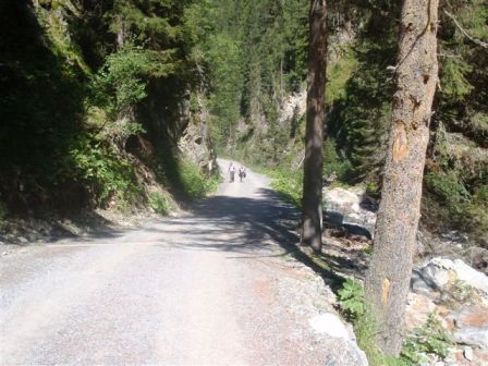 Manchmal etwas steiler...