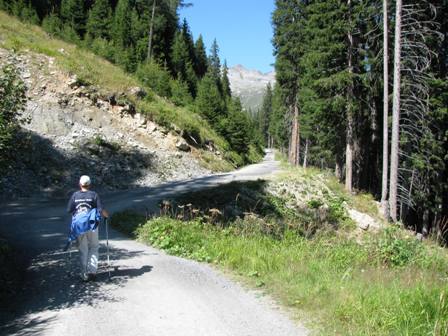 Über schöne Forststraßen durch den Wald