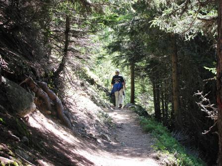 Weiter gehts über einen traumhaften Waldpfad