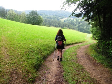 ...während unser Zirberl noch beim ersten Abstieg ist