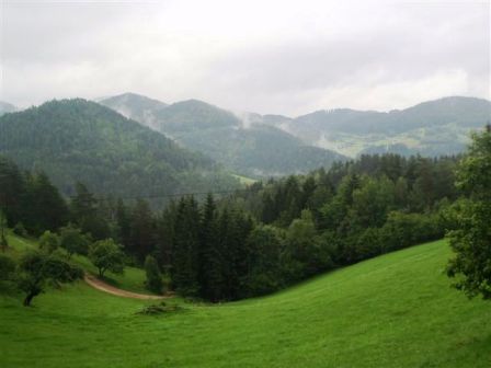 ...und der Blick ins Tal vom Bauernhof aus gesehen