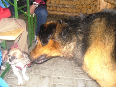 Was bist denn du für einer? Wohl beim Regen eingelaufen.