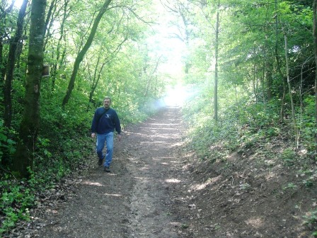 ... auf einem schönen Waldweg