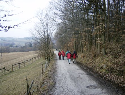 Zahlreiche Wanderer auf einem schnen Weg entlang des Waldes