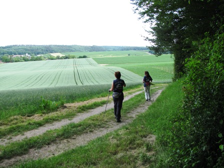 Blick über hügelige Hinterland