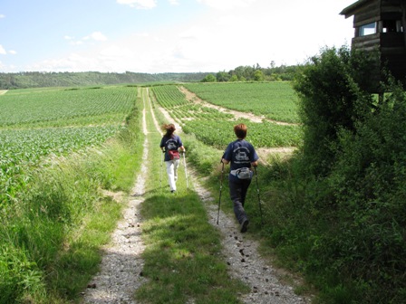 Auf schönen Feldwegen gehts flott dahin