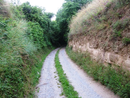 Ein tief in die Weingärten eingeschnittener Weg