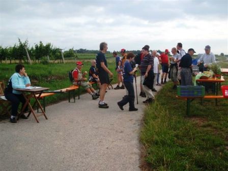 Eine große Gruppe Marathonis trifft sich an der Gratis-Labestelle nach rund 10,1 km