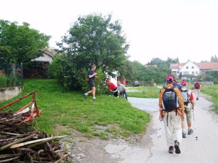 Helmi abseits des Weges - na klar - ein Kirschenbaum!