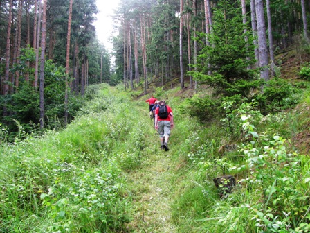 ...Richtung Loiser Heide bzw. Schiltinger Berg