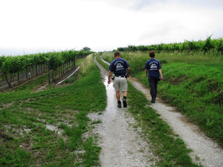 Manfred und Monika entlang der Weinrieden am Schiltinger Berg