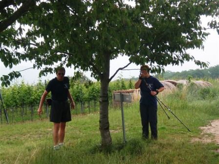 Und ewig ruft der Kirschenbaum