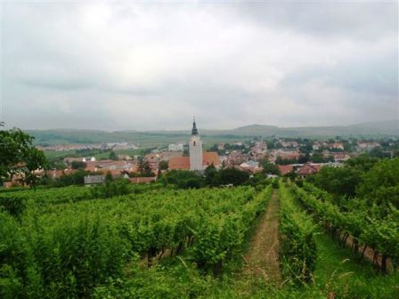Schöner Blick auf Langenlois
