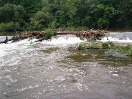 Die Wilden Wasser des Kamp