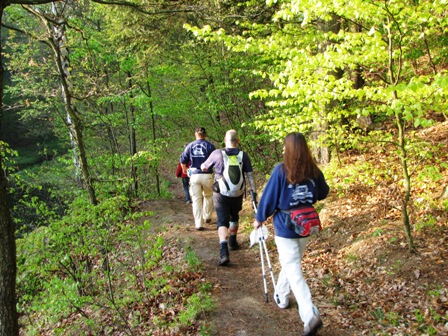Auf schönen Wegen gehts entlang des Sees