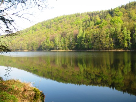 Einfach zum genießen
