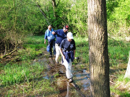 Vorsicht Sumpf...umpf...umpf