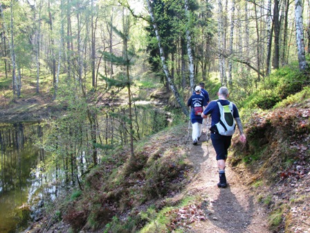 Herrlich erholsame Wälder rund um den See