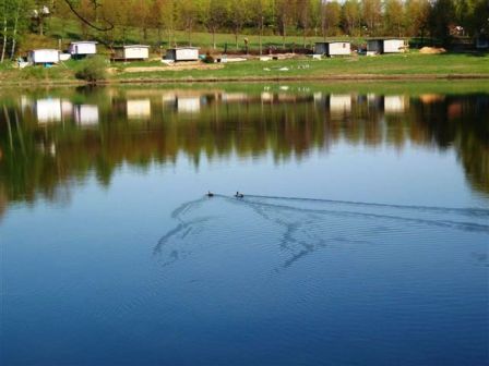 Enten 'zerstören' die ruhige Wasseroberfläche des Sees