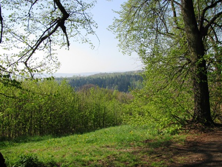 Blick über die leichten Hügel vor 'Gryfów Śląski'