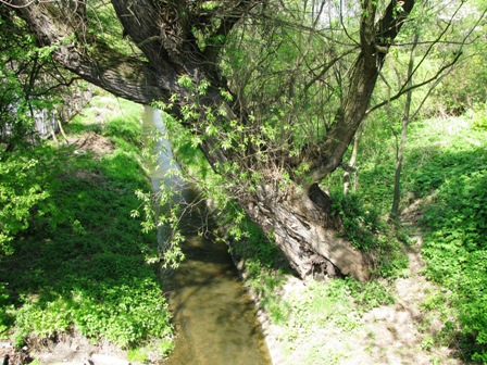 Ein Bächlein kurz vor dem Ziel...