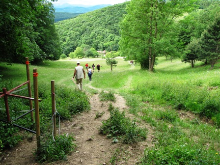 Wanderer beim Almenabstieg - vom Kreuzsattel Richtung Sittendorf