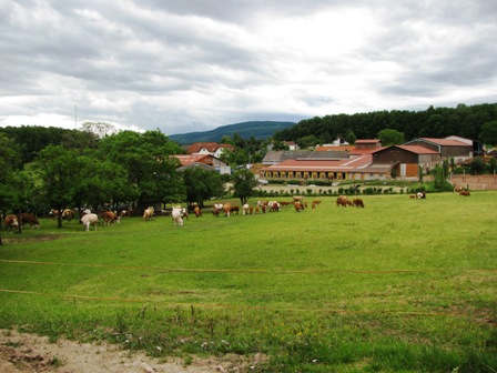Ein riesiger Pferdehof in Füllenberg