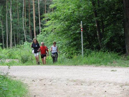 Die Wanderfreunde im nächsten Anstieg Richtung Weißes Kreuz