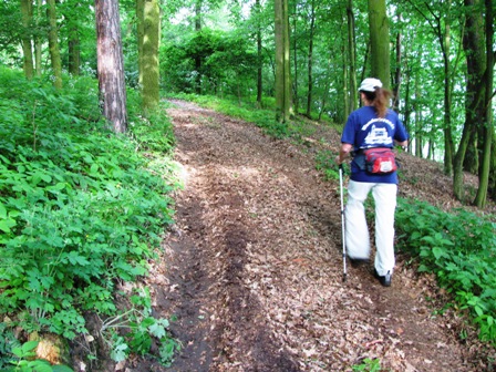 Ein kleiner Anstieg ist zu bewältigen