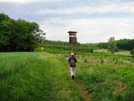 Hochstand mit schönen Ausblicken