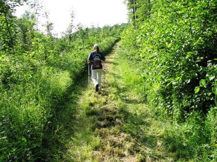 Die Wanderwege wurden sogar ausgemäht