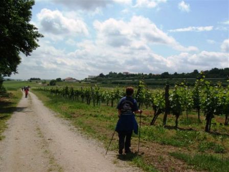Monika auf den Weg zur 'Traubenkontrolle'