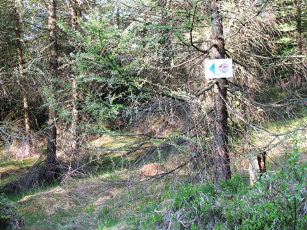 Mit diesen Hinweisschildern ist der Weg markiert...