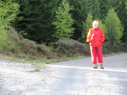 ...und mit diesen mehrsprachigen Wegweisern