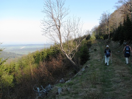 Auf diesem schönen Weg gehts immer leicht bergauf