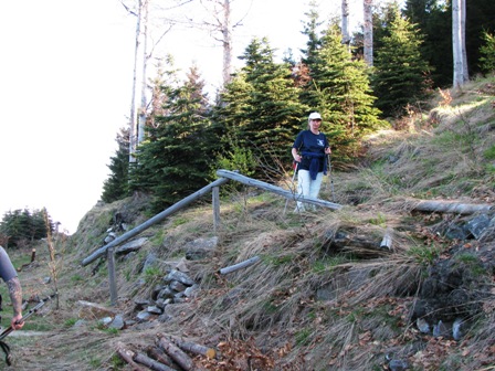 Zirberl beim Einstieg zum etwas steileren Aufstieg
