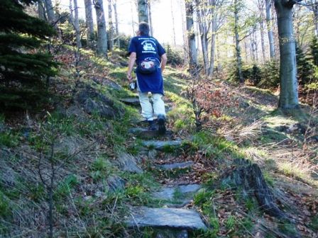 ...bevor es die Steinstiegen hinauf geht (Ähnlichkeiten mit dem Koasamarsch)