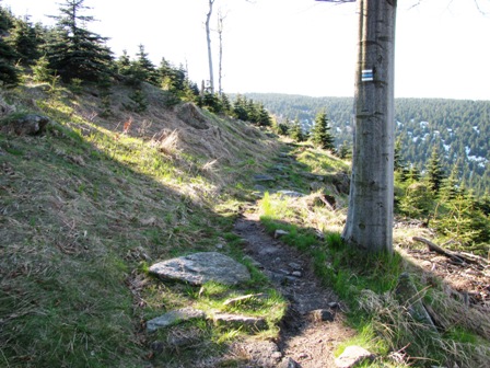 Schöner Pfad Richtung Smrk (mit 1.124 m der höchste Berg im böhmischen Isergebirge)