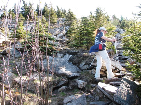Zirberl als Steinbock
