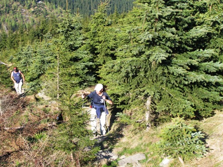 Über den schmalen Pfad geht es immer höher hinauf