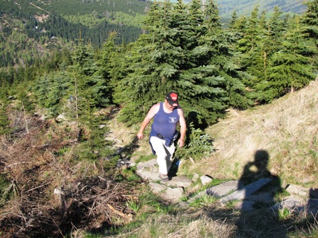 Quaxi hat es bald geschafft