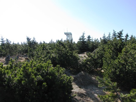 Der Aussichtsturm auf dem Smrk