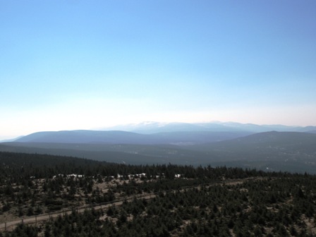 Ausblick vom Turm aus in die Berge