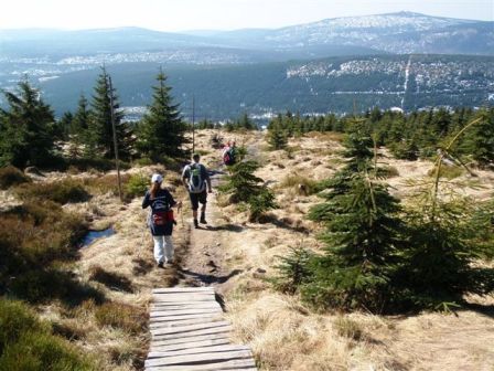 Nun beginnt wieder der Abstieg