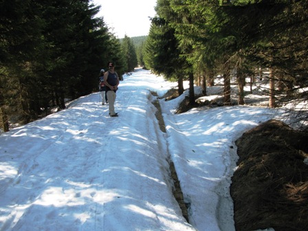 Wo kommt denn der Schnee plötzlich her?